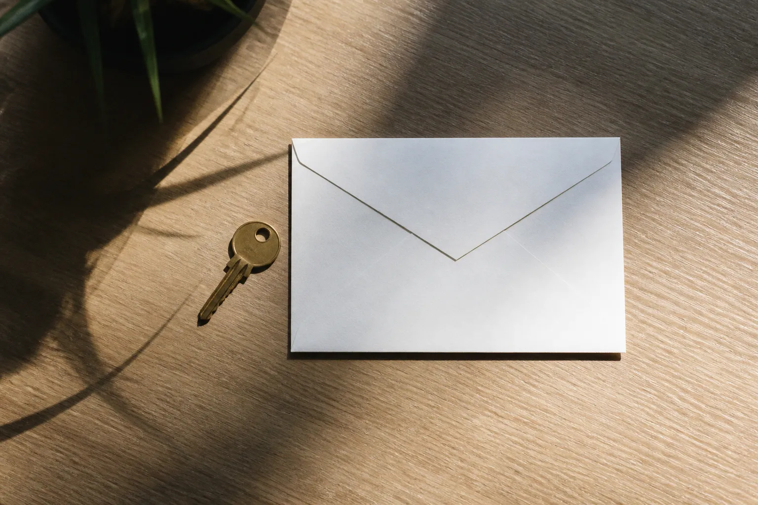 Почтовые сервисы Mail: пошаговое подключение своего домена
